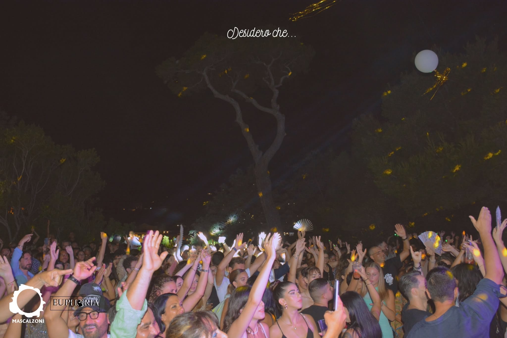 Mani alzate sotto l'albero alla serata Desidero che