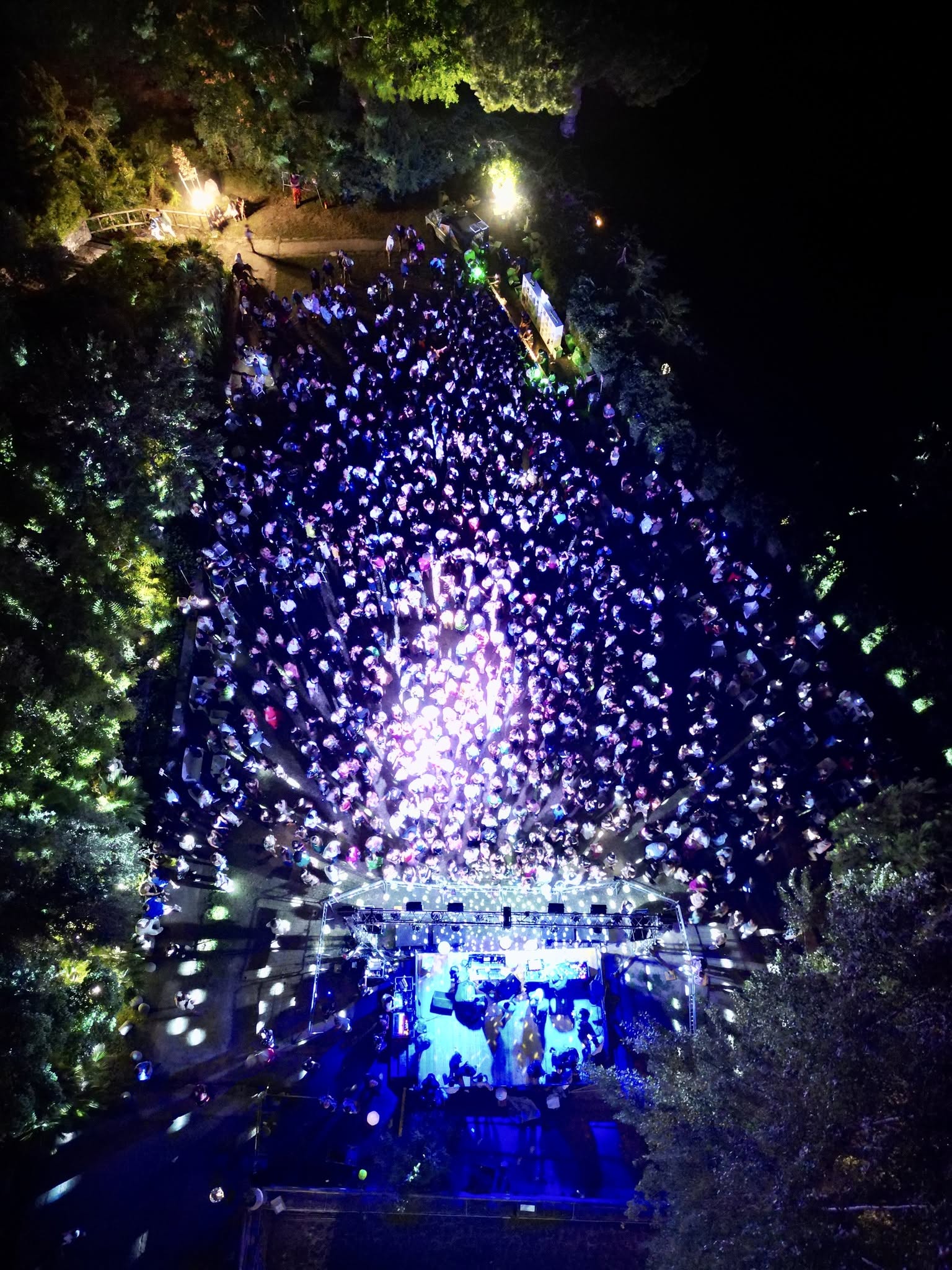 Folla a una serata Mascalzoni nella pineta di Ischia, vista dall'alto